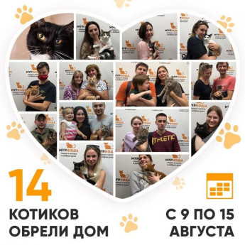 Итоги работы Adoption центра с 9 по 15 августа 2021г. 