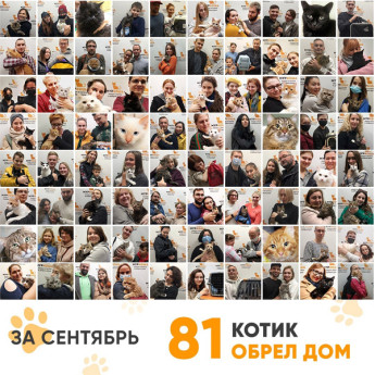 Итоги работы Adoption центра в сентябре 2021г. 