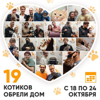 Итоги работы Adoption центра с 18 по 24 октября 2021г.