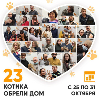 Итоги работы Adoption центра с 25 по 31 октября 2021г.