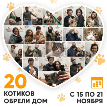 Итоги работы Adoption центра с 15 по 21 ноября 2021г. 