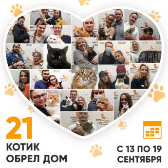 Итоги работы Adoption центра с 13 по 19 сентября 2021г.