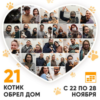 Итоги работы Adoption центра с 22 по 28 ноября 2021г.