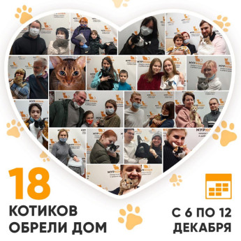 Итоги работы Adoption центра с 6 по 12 декабря 2021г. 