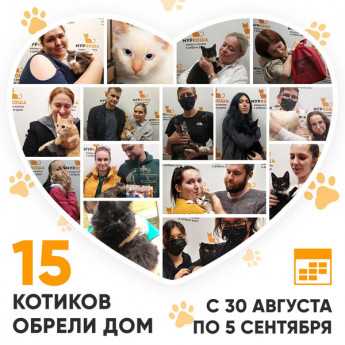 Итоги работы Adoption центра с 30 августа по 5 сентября 2021г.