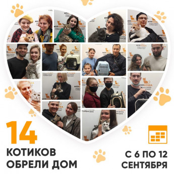 Итоги работы Adoption центра с 6 по 12 сентября 2021г.