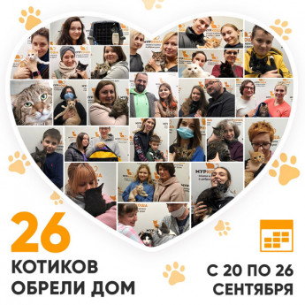 Итоги работы Adoption центра с 20 по 26 сентября 2021г.