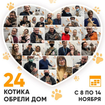 Итоги работы Adoption центра с 8 по 14 ноября 2021г.