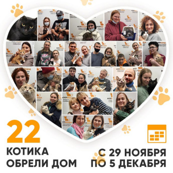 Итоги работы Adoption центра с 29 ноября по 5 декабря 2021г. 