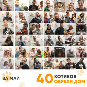 Итоги работы Adoption центра в мае 2022 года. 