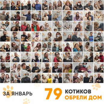 Итоги работы Adoption центра за январь 2022г.