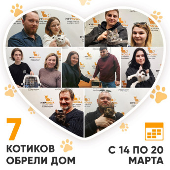 Итоги работы Adoption центра с 14 по 20 марта 2022г.