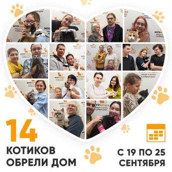Итоги работы Adoption центра с 19 по 25 сентября 2022г. 