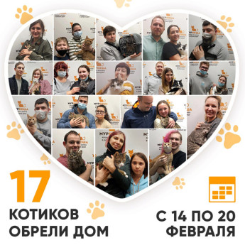Итоги работы Adoption центра с 14 по 20 февраля 2022г.