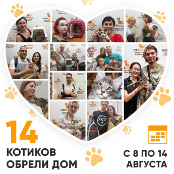 Итоги работы Adoption центра с 8 по 14 августа 2022г.