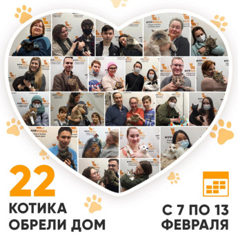 Итоги работы Adoption центра с 7 по 13 февраля 2022г.