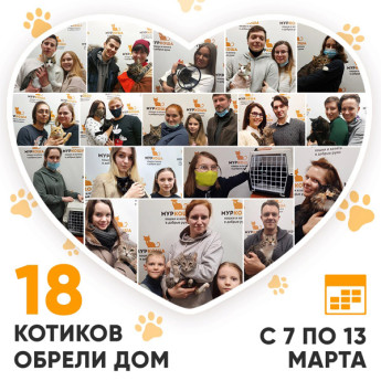  Итоги работы нашего Adoption центра с 7 по 13 марта 2022г. 