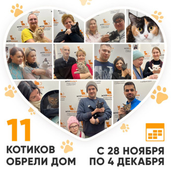 Итоги работы Adoption центра с 28 ноября по 4 декабря 2022г.