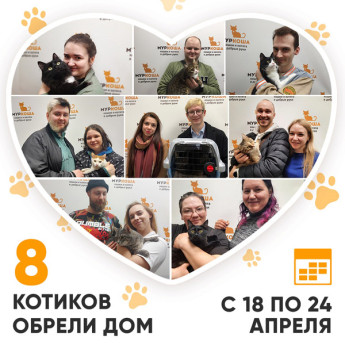 Итоги работы Adoption центра с 18 по 24 апреля 2022г.