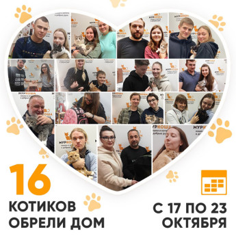 Итоги работы Adoption центра с 17 по 23 октября 2022г.