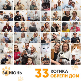 Итоги работы Adoption центра в июне 2022 года.