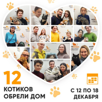 Итоги работы Adoption центра с 12 по 18 декабря 2022г.