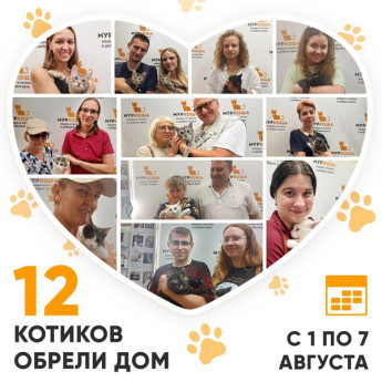 Итоги работы Adoption центра с 1 по 7 августа 2022г.