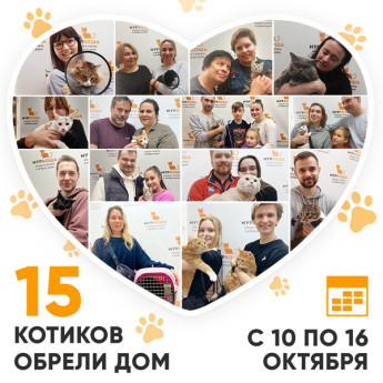 Итоги работы Adoption центра с 10 по 16 октября 2022г. 