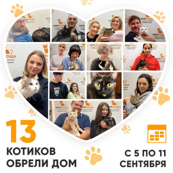 Итоги работы Adoption центра с 5 по 11 сентября 2022г.