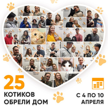 Итоги работы нашего Adoption центра с 4 по 10 апреля 2022г.