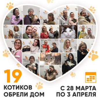 Итоги работы Adoption центра с 28 марта по 3 апреля 2022г.