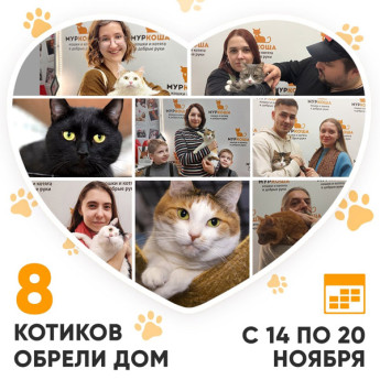 Итоги работы Adoption центра с 14 по 20 ноября 2022г. 