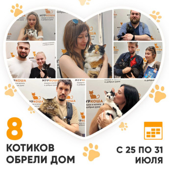 Итоги работы Adoption центра с 25 по 31 июля 2022г.