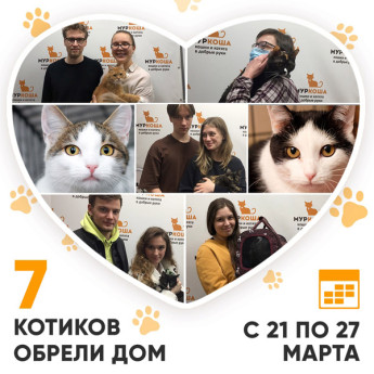 Итоги работы Adoption центра с 21 по 27 марта 2022г. 