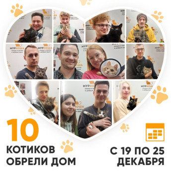 Итоги работы Adoption центра с 19 по 25 декабря 2022г.