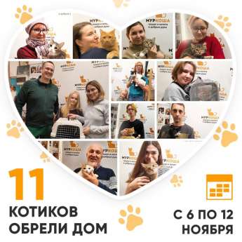 Итоги работы Центра с 6 по 12 ноября 2023г.