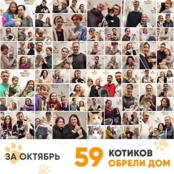 Итоги работы Центра в октябре 2023 года. 