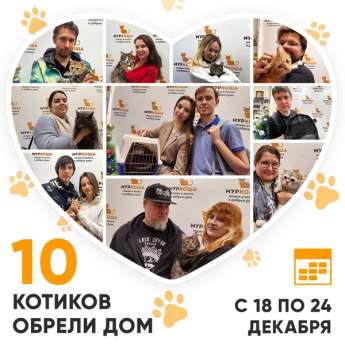 Итоги работы Центра с 18 по 24 декабря 2023г.