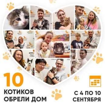 Итоги работы Центра с 4 по 10 сентября 2023г. 