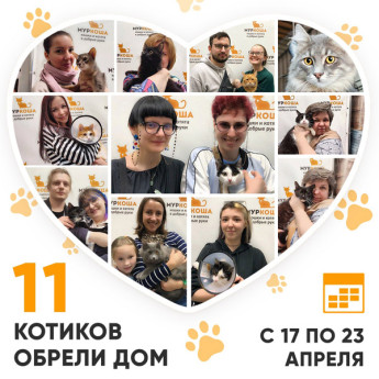 Итоги работы Adoption центра с 17 по 23 апреля 2023г.