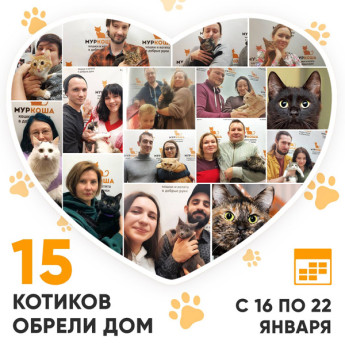 Итоги работы Adoption центра с 16 по 22 января 2023г.