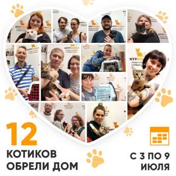 Итоги работы Adoption центра с 3 по 9 июля 2023г. 