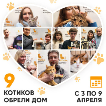 Итоги работы Adoption центра с 3 по 9 апреля 2023г.