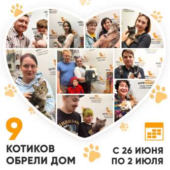 Итоги работы Adoption центра с 26 июня по 2 июля 2023г.