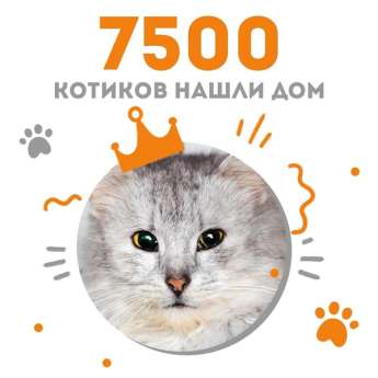 Кошечка Цуна стала 7500-ой выпускницей Adoption центра "Муркоша"!