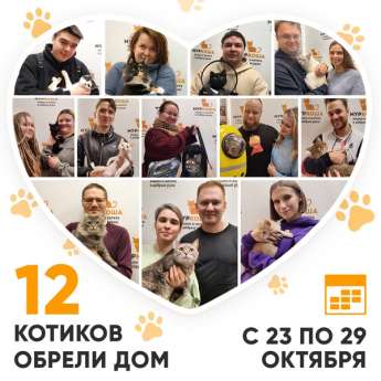 Итоги работы Центра с 23 по 29 октября 2023г. 