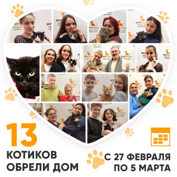 Итоги работы Adoption центра с 27 февраля по 5 марта 2023г.