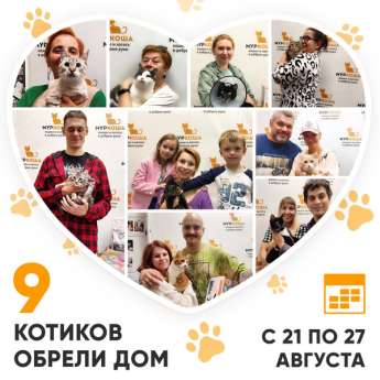Итоги работы центра помощи кошкам с 21 по 27 августа 2023г. 