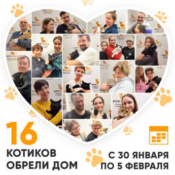 Итоги работы Adoption центра с 30 января по 5 февраля 2023г.