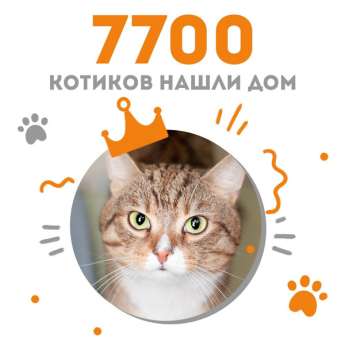 Котик Шабтай стал 7700-ым выпускником Центра "Муркоша"!